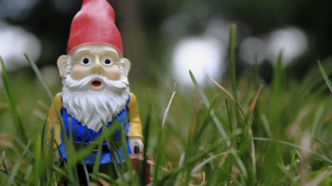 garden-gnome garden-gnome