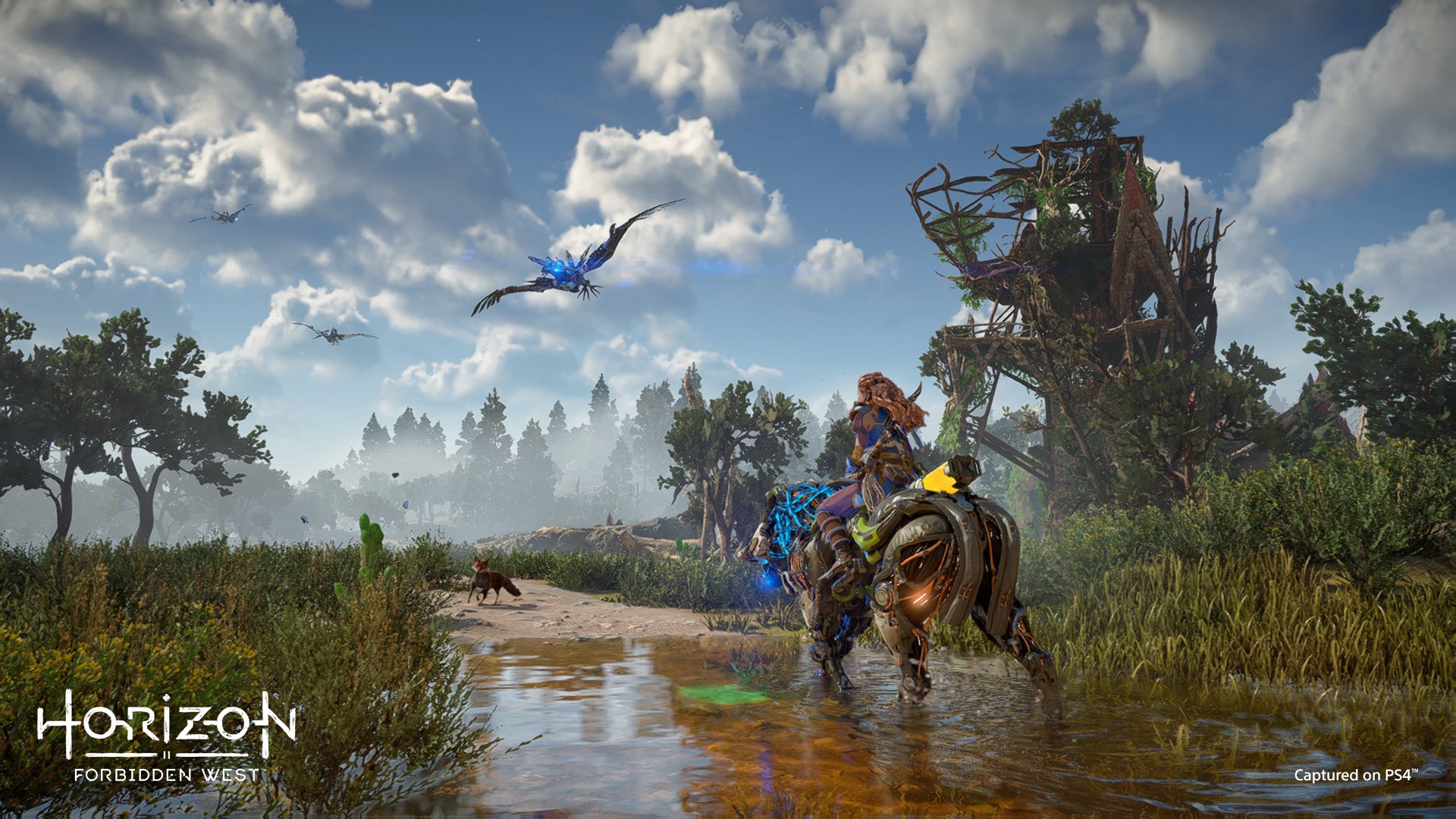 Horizon Forbidden West PC Version Imminent According to Leaker