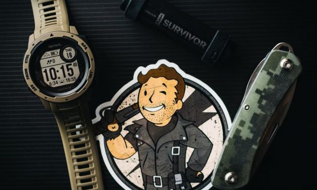 Fallout Is the Latest Successful Video Game-Inspired Series
