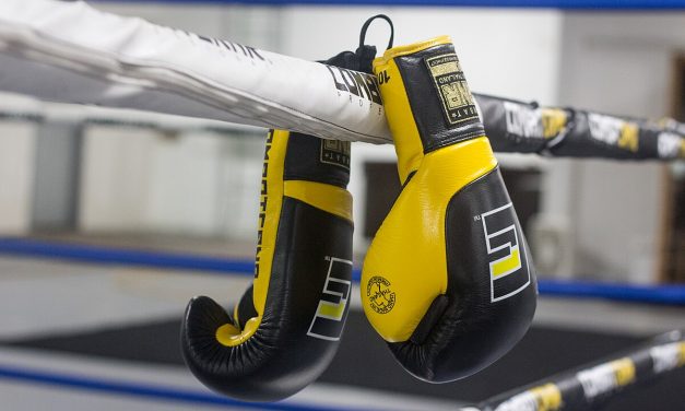 What Happened To Boxing Video Games?