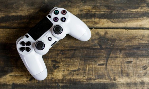 8 Niche Gaming Genres You Need To Explore