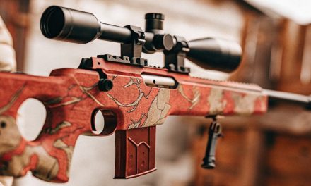 Best AWP Skins in CS2: From Silver to Global Elite Picks