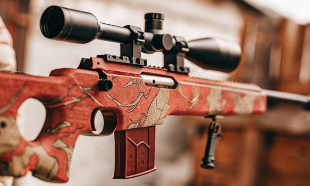 Best AWP Skins in CS2: From Silver to Global Elite Picks